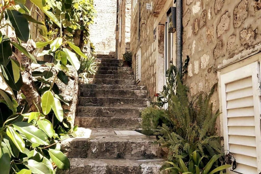 House Marija In Old Town Apartamento Dubrovnik Exterior foto
